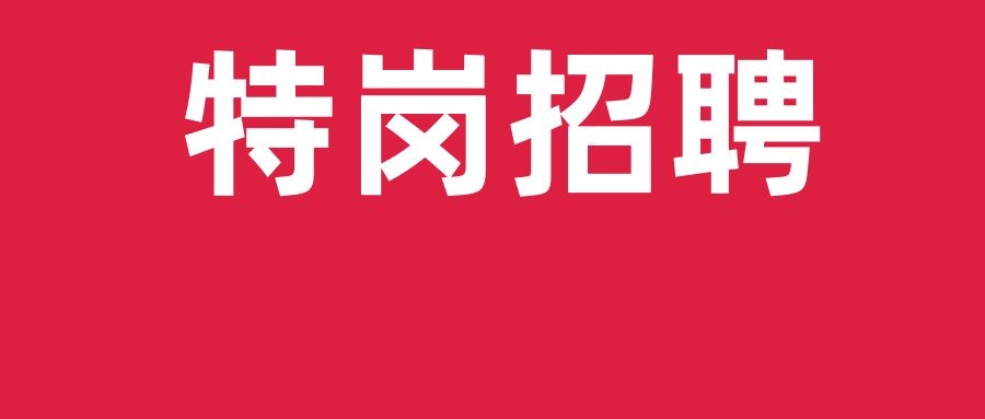 2024年保山市隆阳区特岗教师招聘公告