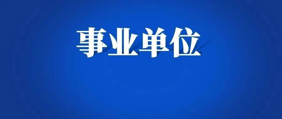 2024年曲靖市沾益区教育体育局所属事业单位招聘研究生公告