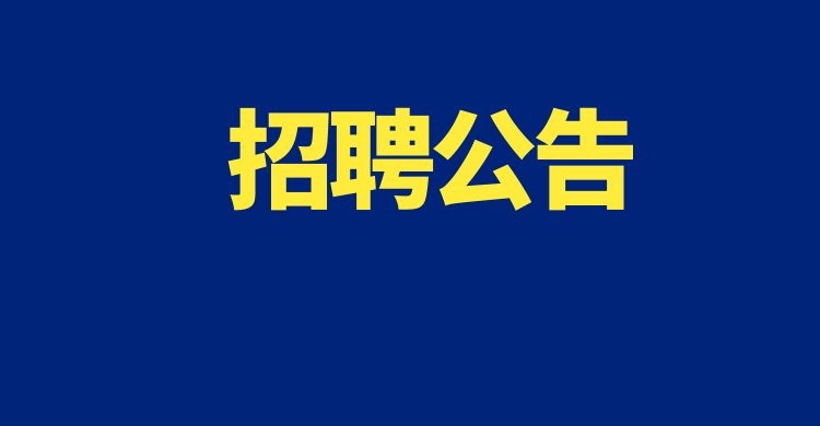 2024年云南师范大学附属世纪金源学校招聘公告（二）