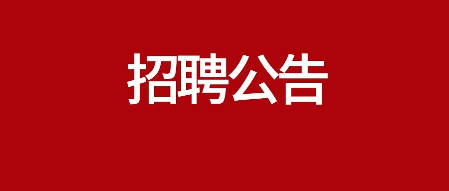 2024年大理州永平县发展和改革局招聘公告